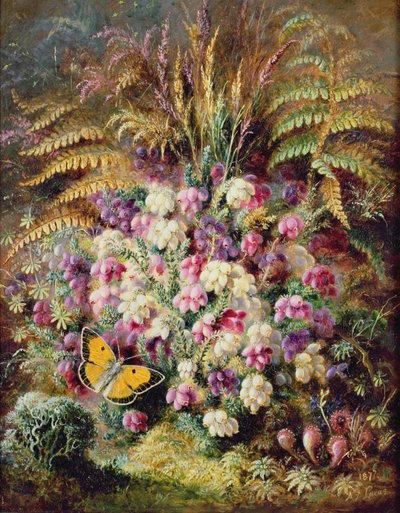 Bell Heather, 1877 tekijältä Albert Durer Lucas