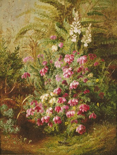 Heinäsirkka ja kanerva tekijältä Albert Durer Lucas