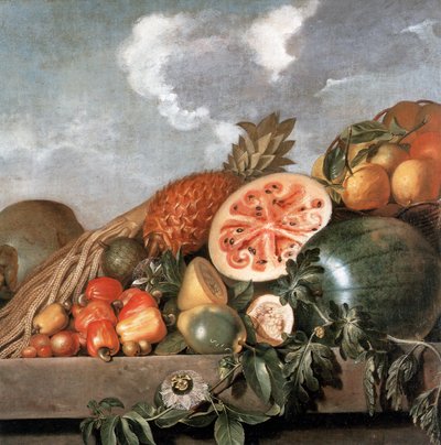 Ananas, vesimelonit ja muut hedelmät (brasilialaiset hedelmät). tekijältä Albert Eckhout