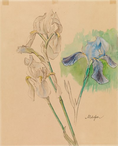 Iirikset tekijältä Albert Edelfelt