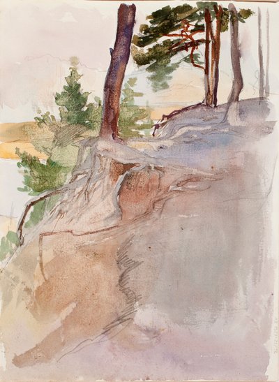 Nimetön tekijältä Albert Edelfelt