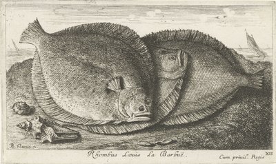 Kolme poikasta rannalla Rhombus Laeuis La Barbuë (otsikko esineessä) Kalat ja muut meren eläimet – Saltwater Third Series (sarjan nimi) Poissons de mer (sarjan nimi) tekijältä Albert Flamen