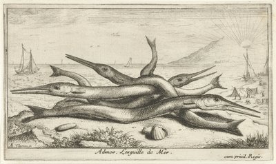 Nokkakalaa rannalla Admos. Lesguille de Mer. (otsikko kohteen päällä) Kalat ja muut meren eläimet – Saltwater Third Series (sarjan nimi) Poissons de mer (sarjan nimi) tekijältä Albert Flamen