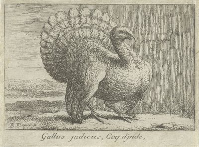 Landschap met kalkoen Gallus indicus, Coq d