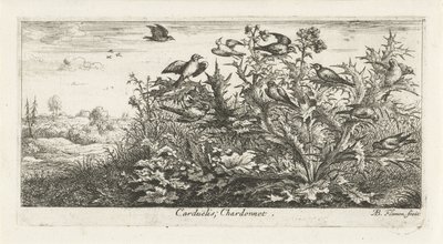 Paisatge amb cadernera al card Carduelis; Chardonneret. (títol a l
