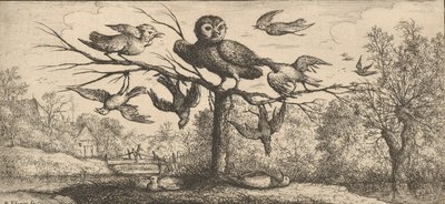 Monedula, Chouëtte Pöllö: Livre d