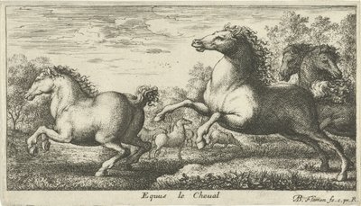 Hevoset Equus le Cheval (otsikko esineessä) Eri eläinlajit (sarjan nimi) tekijältä Albert Flamen