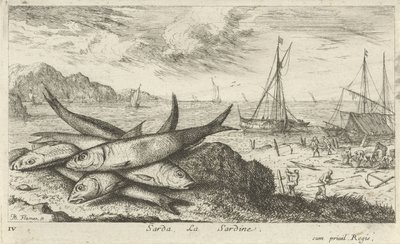 Sardiinit rannalla Sarda, La Sardine. (otsikko esineessä) Kalat ja muut meren eläimet - suolaisen veden ensimmäinen sarja (sarjan nimi) Diverse Especes de Poissons de mer (sarjan nimi) tekijältä Albert Flamen