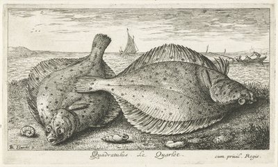 Kaksi punakampelaa rannalla Quadratulus. LeQuarlet. (otsikko esineessä) Kalat ja muut meren eläimet - suolaisen veden kolmas sarja (sarjan nimi) Poissons de mer (sarjan nimi) tekijältä Albert Flamen