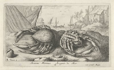 Kaksi hämähäkkirapua lähellä kalastusverkkoa Araneus Marinus Aragnée de Mer (otsikko esineessä) Kalat ja muut meren eläimet - suolaisen veden toinen sarja (sarjan nimi) Poissons de mer (sarjan nimi) tekijältä Albert Flamen