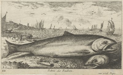 Kaksi lohta rannalla Salmo. Le Saulmon (otsikko esineessä) Kalat ja muut meren eläimet - suolaisen veden ensimmäinen sarja (sarjan nimi) Diverse Especes de Poissons de mer (sarjan nimi) tekijältä Albert Flamen