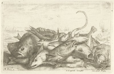 Rapujen kalastus Eri kalalajit (sarjan nimi) Diverse Especes De Poissons tant de Mer, que d