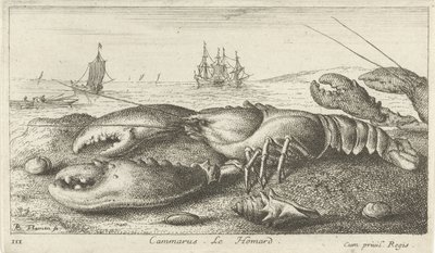 Hummeri rannalla Cammarus. Le Homard (otsikko esineessä) Kalat ja muut meren eläimet - suolaisen veden ensimmäinen sarja (sarjan nimi) Monipuoliset Especes de Poissons de mer (sarjan nimi) tekijältä Albert Flamen