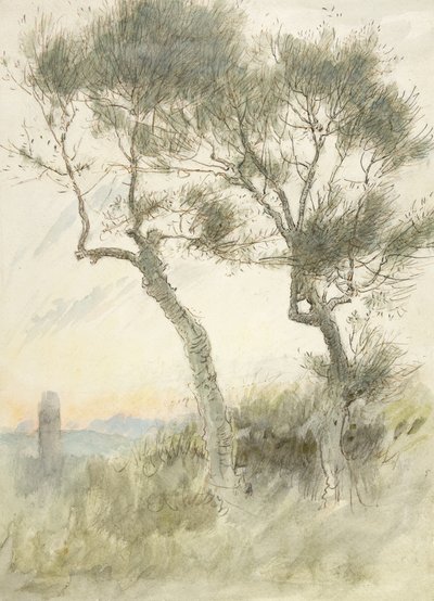 Kahden puun tutkimus tekijältä Albert Goodwin