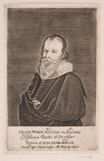 Ole Worm tekijältä Albert Haelwegh