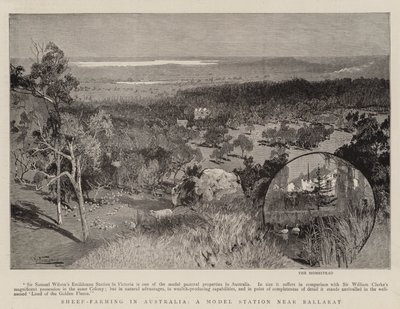 Lampaiden kasvatus Australiassa, malliasema Ballaratin lähellä tekijältä Albert Henry Fullwood