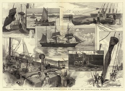Valaanpyynti eteläisellä Tyynellämerellä, toimintaa Australian Whalerissa tekijältä Albert Henry Fullwood