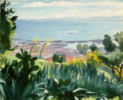 Alger - Näkymä Mustaphan korkeuksista tekijältä Albert Marquet