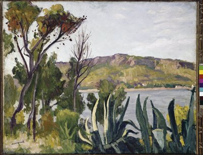 Maisema agavella. (öljy kankaalle tekijältä Albert Marquet