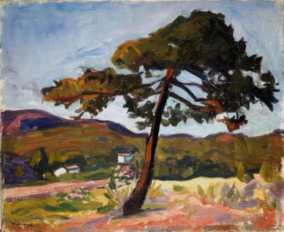 Pinie St. Tropezissa tekijältä Albert Marquet