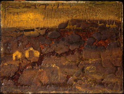 Ulkonaliikkumiskielto, vuoteen 1882 mennessä. tekijältä Albert Pinkham Ryder