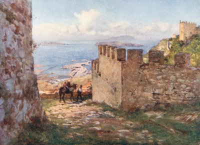Trapani ja Aigadian saaret Monte San Giulianon linnasta tekijältä Alberto Pisa