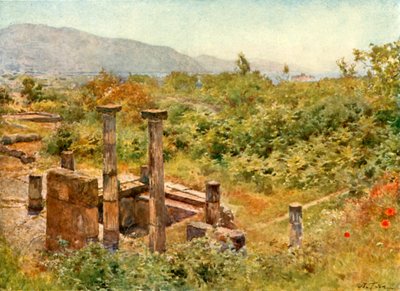 Näkymä Pompejista tekijältä Alberto Pisa