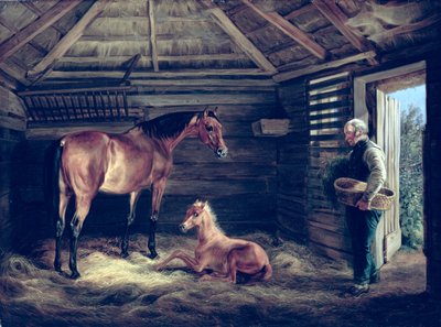 Englanti tamma varsoineen, 1833 tekijältä Albrecht Adam