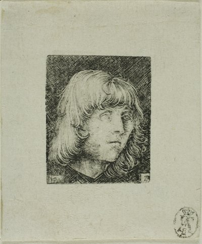 Nuoren miehen pää tekijältä Albrecht Altdorfer