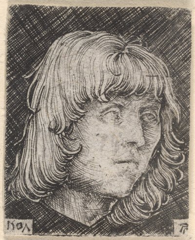 Nuoren miehen pää tekijältä Albrecht Altdorfer