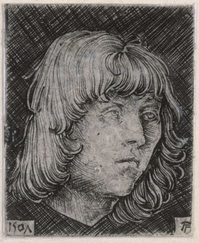 Nuoren miehen pää tekijältä Albrecht Altdorfer