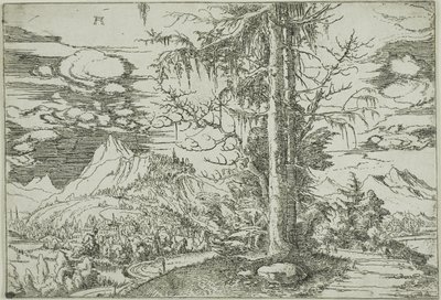 Maisema kaksinkertaisen kuusen kanssa tekijältä Albrecht Altdorfer