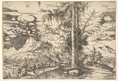 Maisema tuplakuusen kanssa, n. 1521-22. tekijältä Albrecht Altdorfer