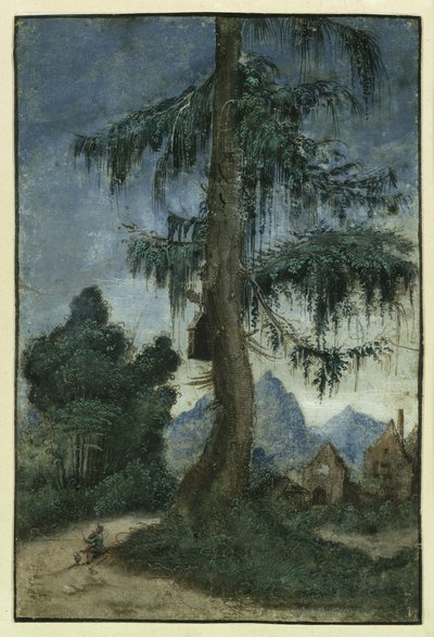 Maisema, jossa on kuusi tekijältä Albrecht Altdorfer