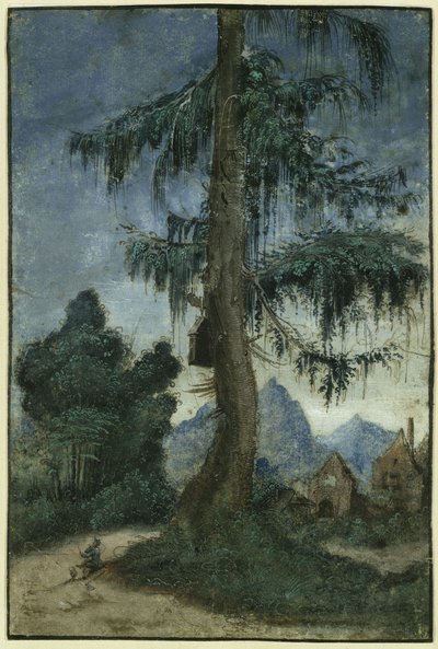Maisema, jossa on kuusi tekijältä Albrecht Altdorfer