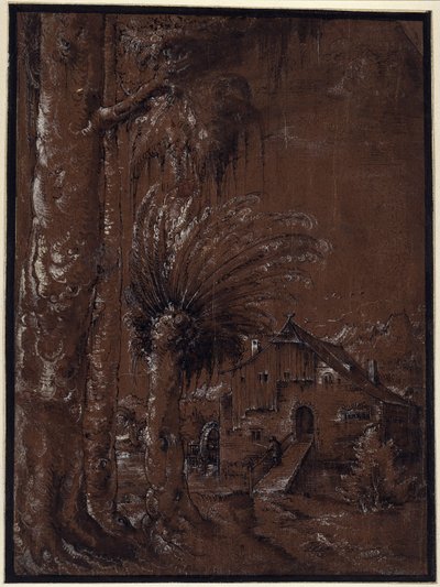 Maisema ja vesimylly tekijältä Albrecht Altdorfer