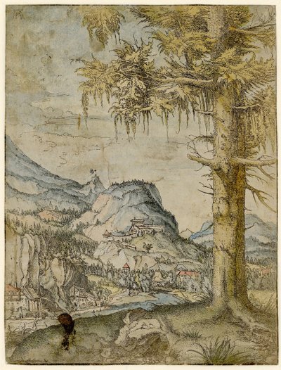 Suuri kuusi, noin 1517-1520. tekijältä Albrecht Altdorfer