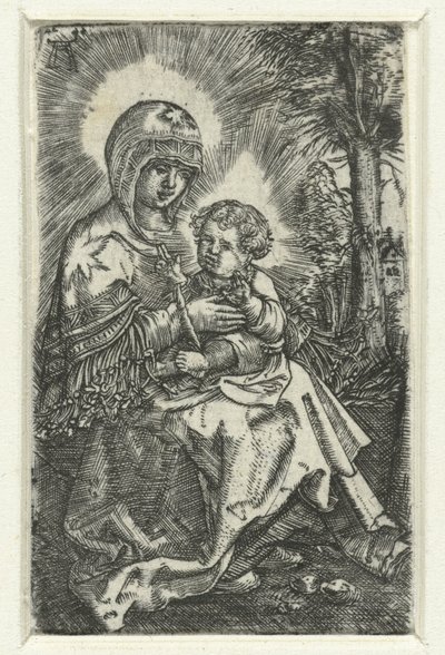 Maria tapasi ystävällisen landschapissa Kaunis Maria Regensburg tekijältä Albrecht Altdorfer