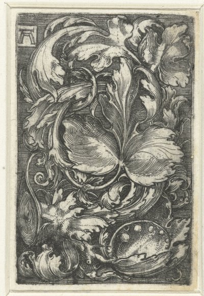 Ornamentti tapasi bladranken tekijältä Albrecht Altdorfer