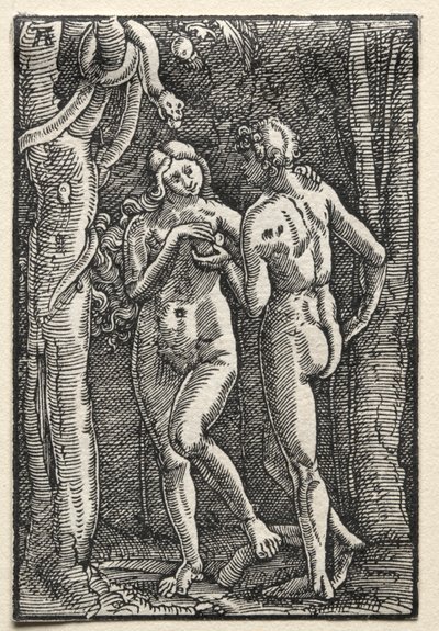 Ihmisen lankeemus ja lunastus: Aadam ja Eeva syömässä kiellettyä hedelmää, n. 1515. tekijältä Albrecht Altdorfer