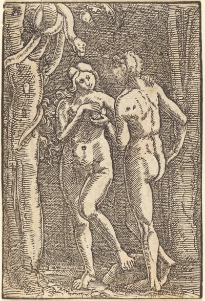 Ihmisen lankeemus tekijältä Albrecht Altdorfer