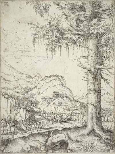 Suuri kuusi, noin 1520 tekijältä Albrecht Altdorfer