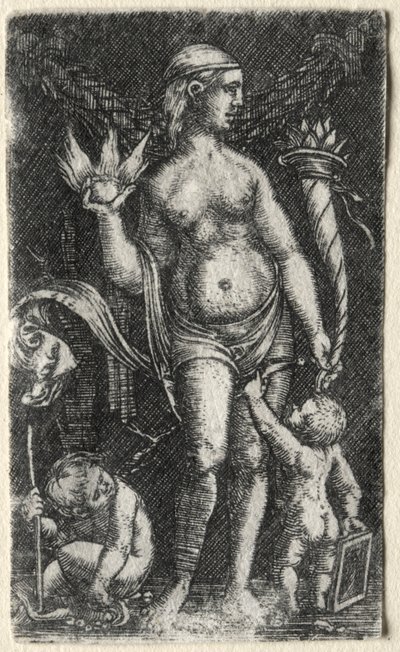 Venus kahden kupidon välissä tekijältä Albrecht Altdorfer