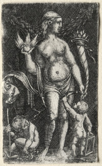 Venus kahden kupidon välissä, 1520. tekijältä Albrecht Altdorfer