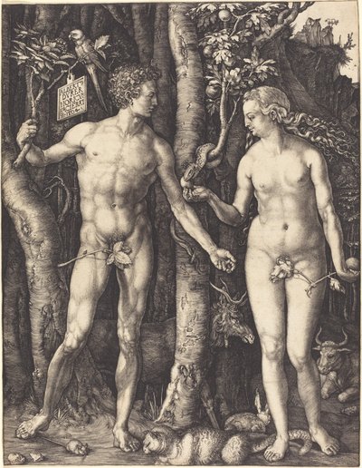 Aatami ja Eeva tekijältä Albrecht Dürer