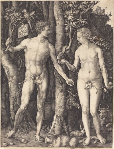Aatami ja Eeva tekijältä Albrecht Dürer