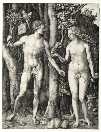 Aatami ja Eeva tekijältä Albrecht Dürer
