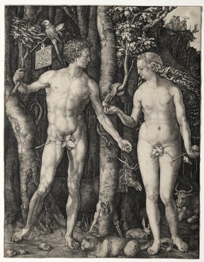 Aatami ja Eeva tekijältä Albrecht Dürer
