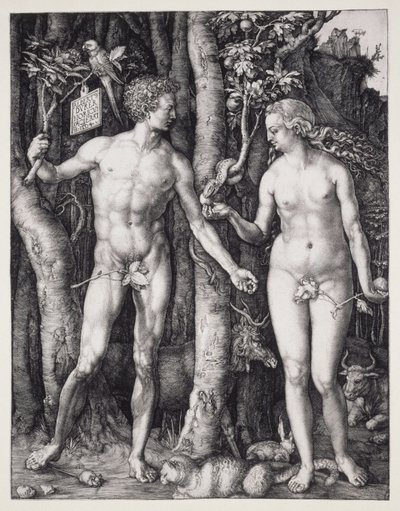 Aatami ja Eeva tekijältä Albrecht Dürer