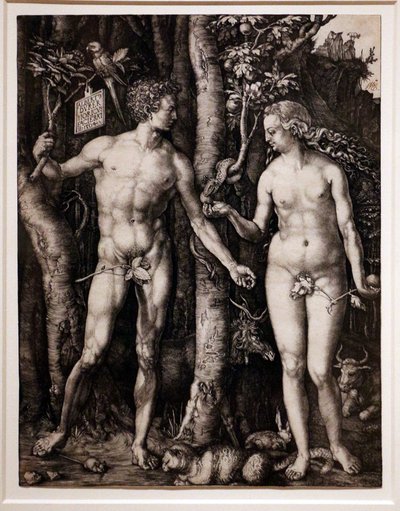 Aatami ja Eeva tekijältä Albrecht Dürer